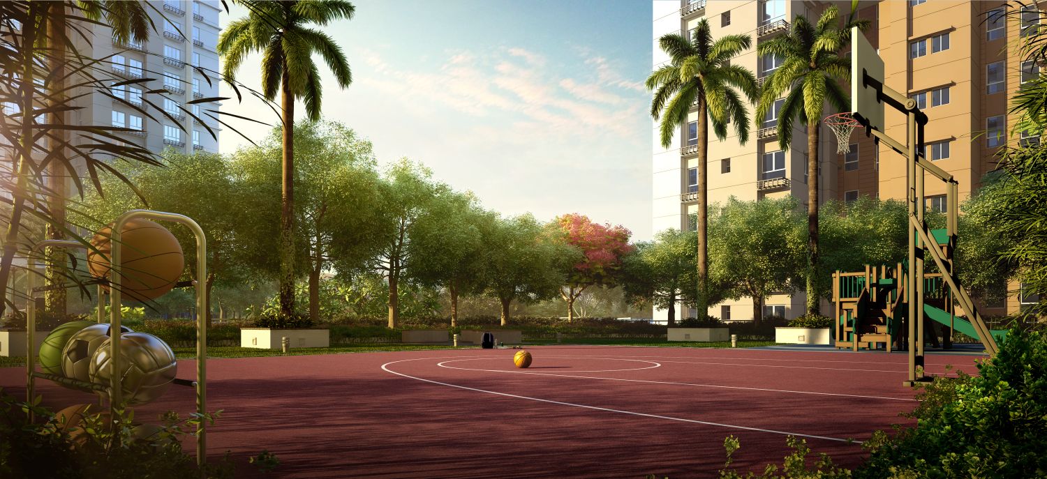 Basket Ball Area View